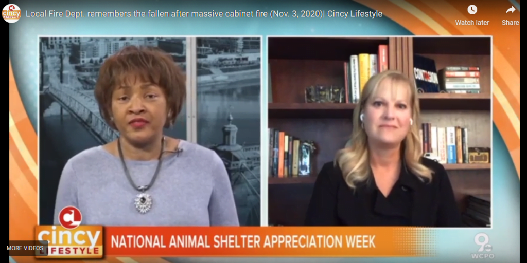 Cincy Lifestyle Celebrates National Animal Shelter Appreciation Week with the Ten Movement