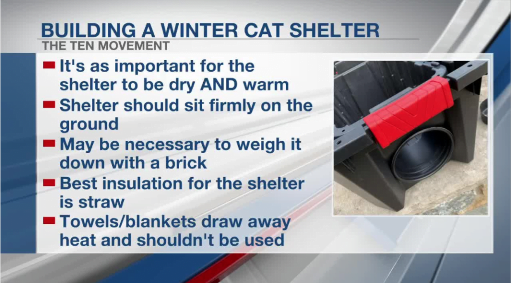 Fox19 shares how to make a winter shelter for community cats