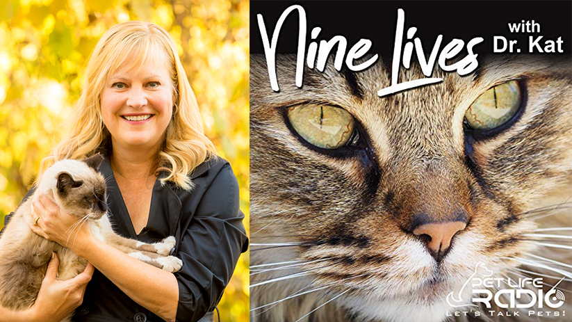 Creating a Cat Culture Shift: Give Them Ten Featured on Nine Lives Podcast