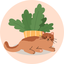 icon_Catwithplant