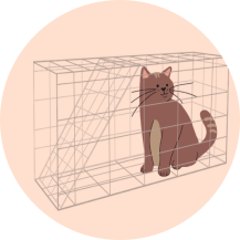 icon_browncatincage