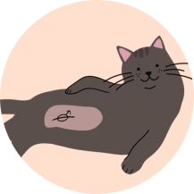 icon_catlouding