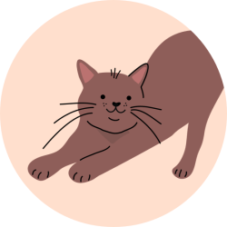 icon_cutecatstretching